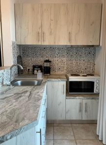uma cozinha com um lavatório e um micro-ondas em Aegean View House em Agios Ioannis Pelion