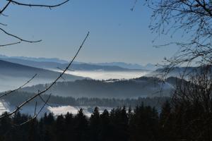 a misty valley with trees and mountains in the distance at Gościniec pod Lubomirem in Węglówka