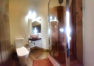 a bathroom with a toilet and a shower at KZN Park View Guest House in Durban