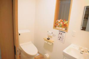 y baño con aseo, lavabo y espejo. en Guesthouse Atelier Ten 民泊アトリエ天, en Osaka