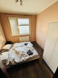 Bett in einem Zimmer mit Fenster in der Unterkunft Free Wifi - Harmony Hideaways in Bratislava