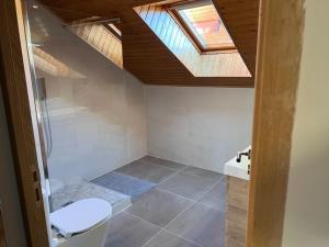 a bathroom with a toilet and a skylight at Park Résidence Divonne-les-Bains in Divonne-les-Bains