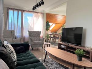 sala de estar con sofá y TV de pantalla plana en Park Résidence Divonne-les-Bains en Divonne-les-Bains