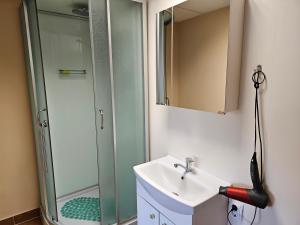 ein Bad mit einem Waschbecken und einer Dusche in der Unterkunft Kėdainių profesinio rengimo centras in Kėdainiai