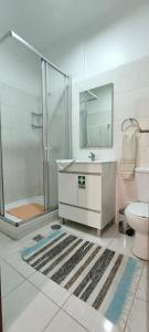 uma casa de banho com um chuveiro, um lavatório e um WC. em Residencial Monaco no Funchal