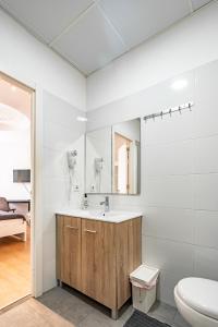 a bathroom with a sink and a toilet and a mirror at Jardín Botánico Rooms in Valencia