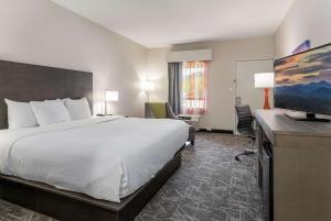 um quarto de hotel com uma cama e uma secretária em Quality Inn Asheville Downtown Tunnel Rd em Asheville
