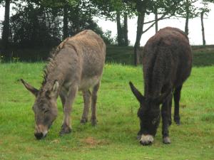 Afbeelding uit fotogalerij van Les Chambres d'Ebalet in Saint-Blimont +34 foto's