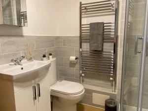 y baño con aseo, lavabo y ducha. en Lovely 2 Bed flat close to South Woodham Ferrers station en Woodham Ferrers