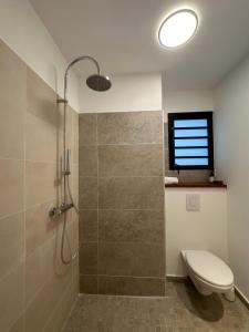 a bathroom with a shower with a toilet and a window at Résidence UltraMarine in Boucan Canot