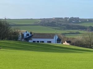 a white house in the middle of a green field at Pembrokeshire Near Beach With A Hot Tub in Pembroke