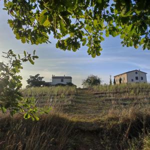 two houses on a hill in a field at Agriturismo Tenuta La Castelluzza in Tuscania