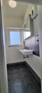 een badkamer met een wastafel en een spiegel bij Sechsbettzimmer "Blau" in zentraler Lage in Bremen