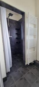 uma casa de banho com chuveiro e cortina de chuveiro em Sechsbettzimmer "Blau" in zentraler Lage em Bremen