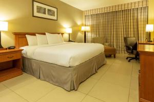 een slaapkamer met een groot bed in een hotelkamer bij Radisson Hotel Panama Canal in Panama-Stad