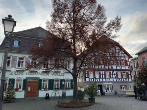 a tree in front of a building in a town at Skyline Appartement mit Pool and Netflix in Kronberg im Taunus