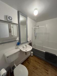 a bathroom with a toilet and a sink and a shower at Apartment 12, Sea Wharf in Westport