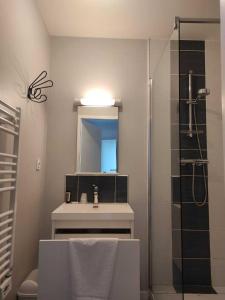 a bathroom with a sink and a shower with a mirror at hotel de l'ain in Pont-de-Poitte