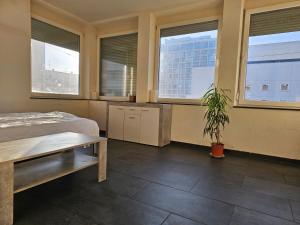 a bedroom with windows and a potted plant in it at Betty Zimmer in Heilbronn Zentrum in Heilbronn
