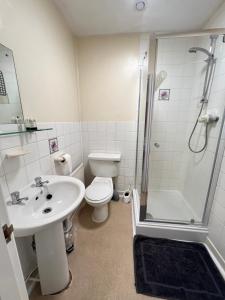a bathroom with a toilet and a shower and a sink at The Welsh Black Inn in Aberystwyth