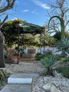 un jardín con pérgola con sillas y cactus en Villa GALVANA, en Guia