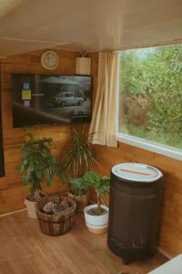 Gallery image of The Amazing Inácio Bus converted home in Sintra