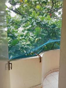 a window with a net on the side of it at happystay@casablanca2 in Chennai