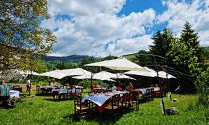 un groupe de tables avec parapluies blancs dans un champ dans l'établissement Agriturismo Grabbia, à Grumo