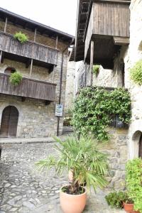 une plante dans un pot devant un bâtiment dans l'établissement Agriturismo Grabbia, à Grumo