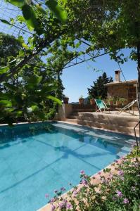 a swimming pool in the backyard of a house with trees at Sa Cabana d'es Vicari in Fornalutx