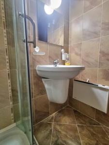 La salle de bains est pourvue d'un lavabo et d'une douche. dans l'établissement Pamporovo Studio Five, à Pamporovo