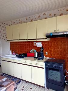 eine Küche mit weißen Schränken und einem schwarzen Herd in der Unterkunft Appartement en Bresse 