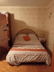 Dormitorio con cama con almohada naranja en Appartement en Bresse, 