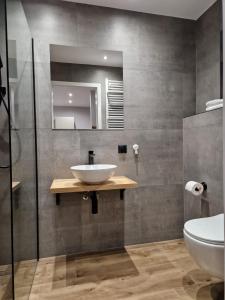 uma casa de banho com um lavatório e um espelho em Noclegi u Alicji- Apartamenty em Gołuchów