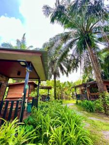 a house with a palm tree in front of it at Lay Back Villa Wooden House AC Hot shower High Speed Internet in Krabi