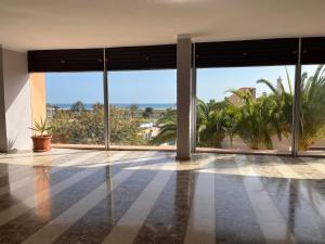 an empty room with large windows and palm trees at Blue Ocean Morro Jable in Morro del Jable
