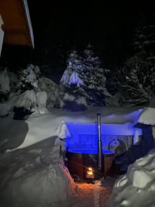 a train in the snow at night at Wellness penzion Harmonie Rohanov in Prachatice