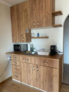 a kitchen with a sink and a microwave on a counter at Aquamarin Studio 209 in Bad Mitterndorf