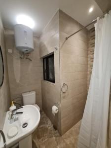 a bathroom with a toilet and a sink and a shower at Tarxien - Lovely 3 bedroom unit in Tarxien