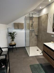 a bathroom with a shower and a sink at Ferienwohnung III Beck-Bräu nahe Bamberg in Trabelsdorf