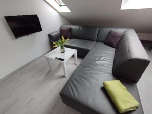 a living room with a couch and a tv at Ferienwohnung Down Under am Bodensee in Uhldingen-Mühlhofen