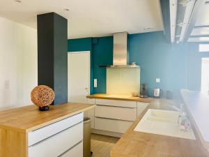 uma cozinha com paredes azuis e um balcão com um lavatório em Le Cottage - Jolie Maison à Buxerolles em Buxerolles