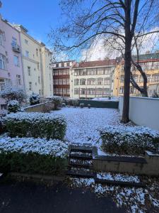 Cozy Downtown Garden Apartment: Spacious, Historical & Culinary Delight! في براغ: ساحة مغطاة بالثلج مع شجرة ومباني