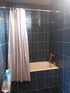 Beka’s House في كوبوليتي: حمام مع ستارة دش وحوض استحمام