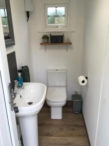 a small bathroom with a toilet and a sink at Willow Pod in Great Ayton