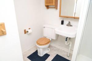 a bathroom with a toilet and a sink at Charming, Central, Cozy Home - Ideal in Dearborn Heights +31 photos