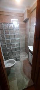 達里揚的住宿－Beyaz Villas，一间带卫生间和水槽的浴室
