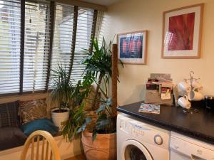 a laundry room with plants and a washer and dryer at Courtyard Apartment in Shepton Mallet