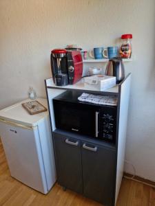 a small kitchen with a microwave on a shelf at Face à la cathédrale in Strasbourg