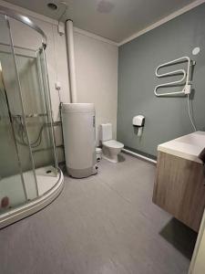 a bathroom with a shower and a toilet and a sink at Cozy miniroom A in Åmot